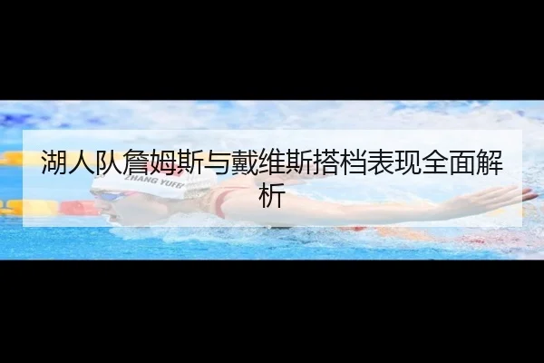 湖人队詹姆斯与戴维斯搭档表现全面解析